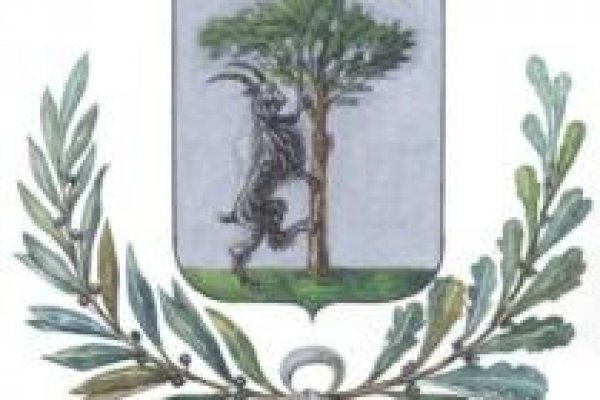 Покупки на кракене даркнет