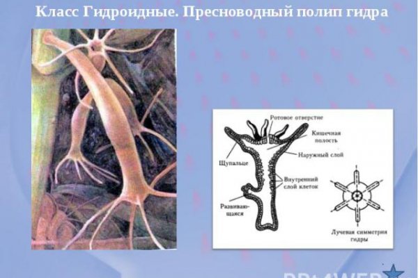 Кракен макет даркнет только через тор