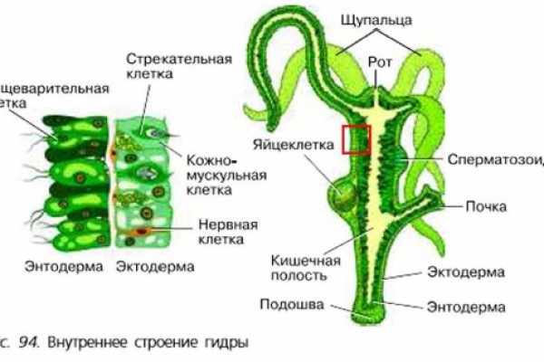 Кракен маркетплейс это