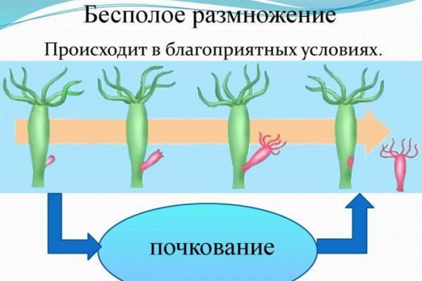 Kraken оригинальная ссылка