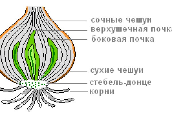 Сайт кракен kraken krakens15 at